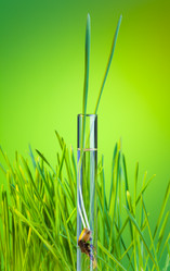 Similar image 6407550