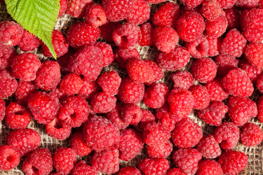 Similar image 6407552