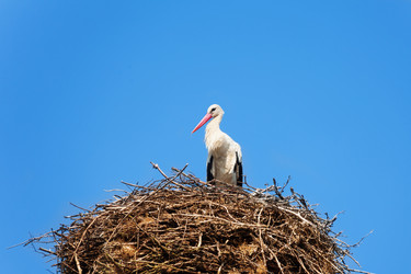 Similar image 6407604