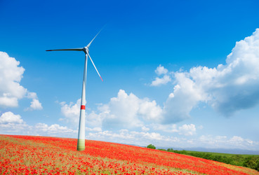 Similar image 6407605