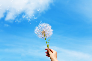 Similar image 6407641