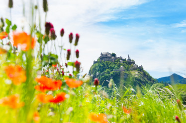 Similar image 6407642