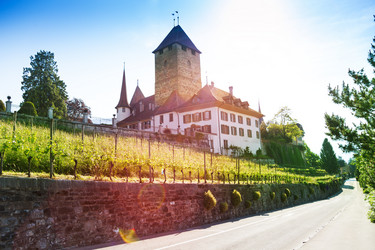 Similar image 6407712