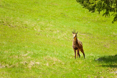 Similar image 6407740