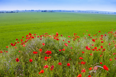 Similar image 6407863