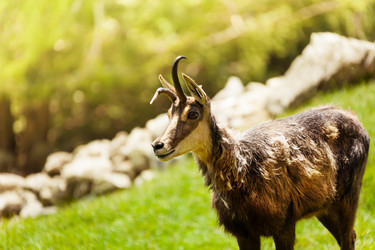 Similar image 6407877