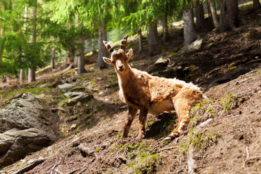 Similar image 6407878