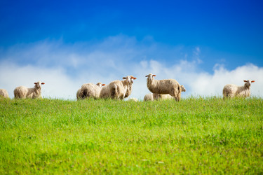 Similar image 6407904