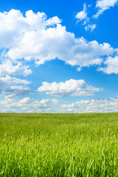 Similar image 6407913