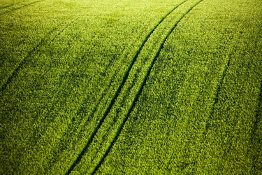 Similar image 6407914