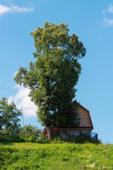 Similar image 6407916