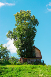 Similar image 6407919