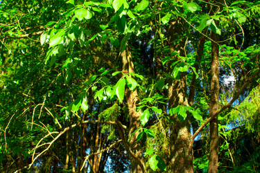 Similar image 6407923