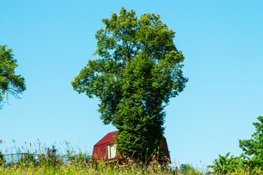 Similar image 6407932