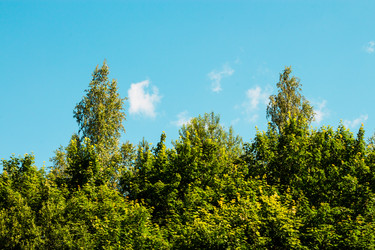 Similar image 6407933