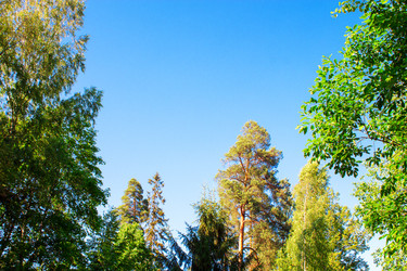 Similar image 6407934