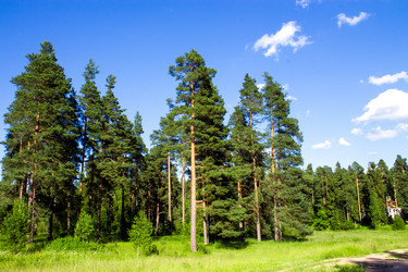 Similar image 6407944