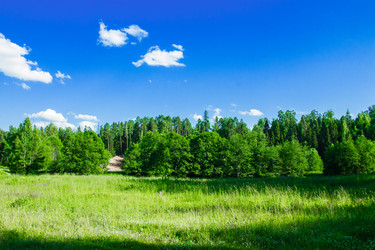 Similar image 6407948