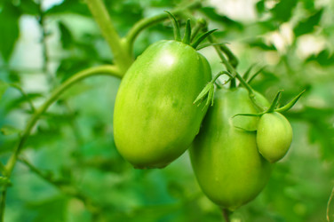 Similar image 6407949