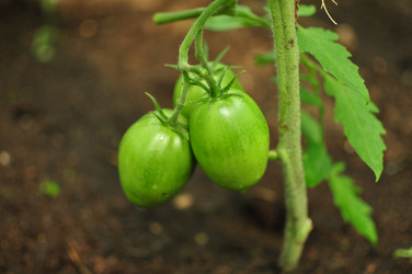 Similar image 6407952