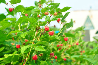 Similar image 6407953