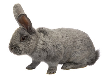 Similar image 6407955