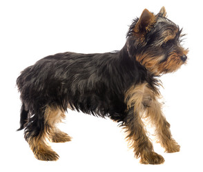 Similar image 6407956