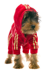 Similar image 6407957