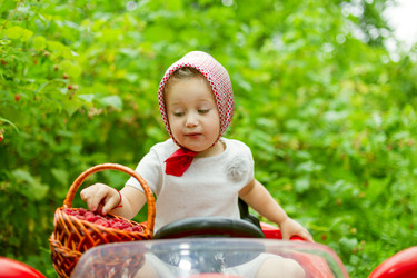 Similar image 6407962