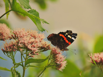 Similar image 6407972