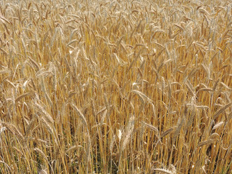 Similar image 6407973