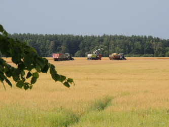 Similar image 6407974