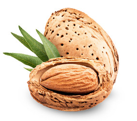 Similar image 6407978