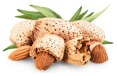 Similar image 6407984