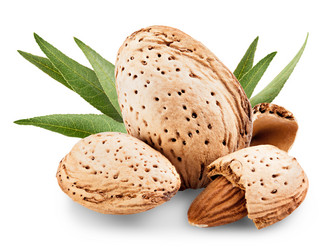 Similar image 6407985