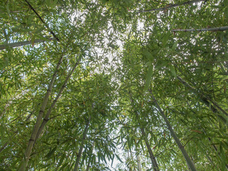 Similar image 6408036