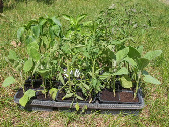 Similar image 6408038