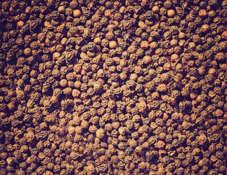 Similar image 6408106