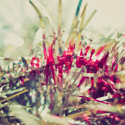 Similar image 6408196