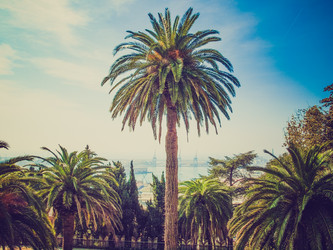 Similar image 6408197