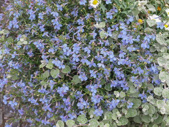 Similar image 6408400