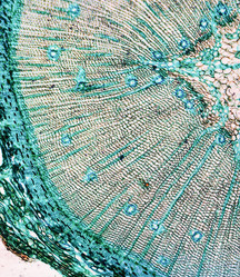 Similar image 6408428