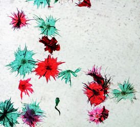 Similar image 6408430