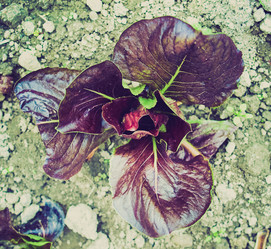 Similar image 6408469