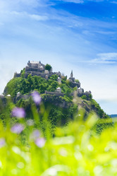 Similar image 6408503