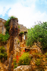 Similar image 6408515