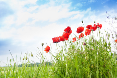 Similar image 6408523