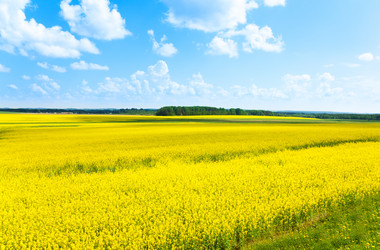 Similar image 6408540