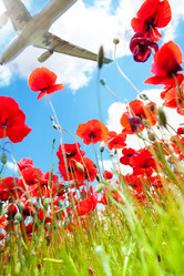 Similar image 6408547