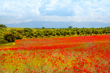 Similar image 6408573